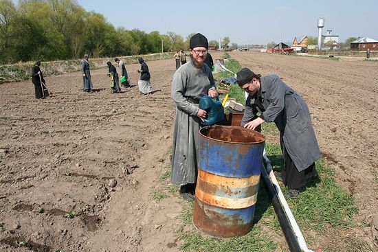 Сельскохозяйственные работы в Оптине