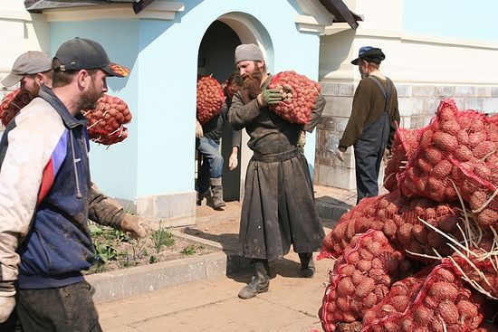 Урожай