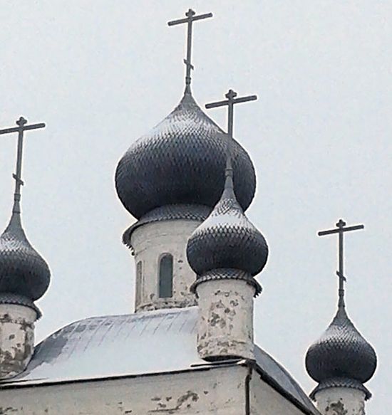 231088.p.jpg