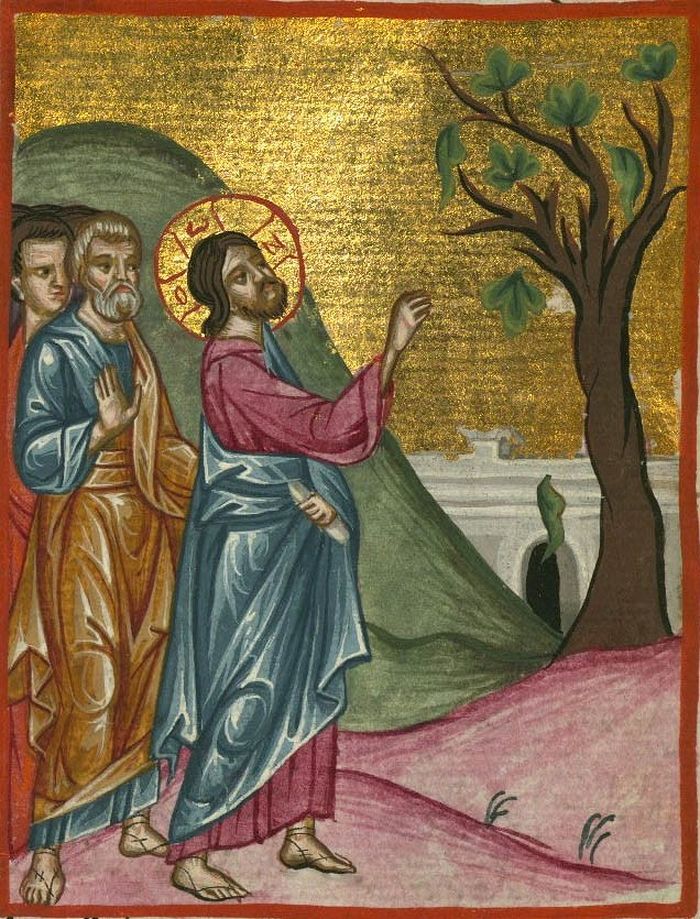 Jesus and the Fig Tree