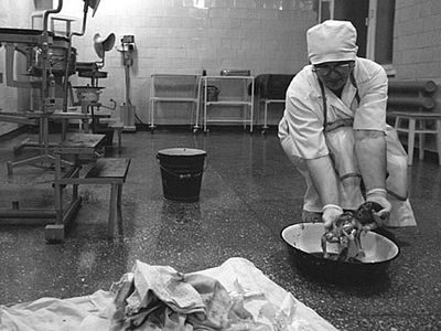 «В России созданы условия, при которых аборт… – это выгодно». Николай Моисеев / Православие.Ru