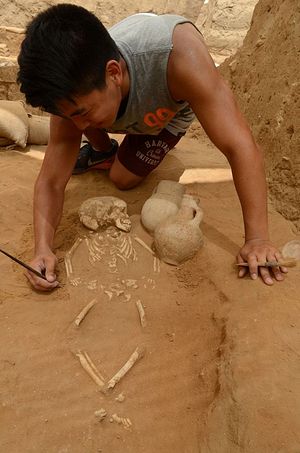 A student excavates a 10th-9th century BC burial in the excavation of the Philistine cemetery by the Leon Levy Expedition to Ashkelon. (Melissa Aja /Leon Levy Expedition)
