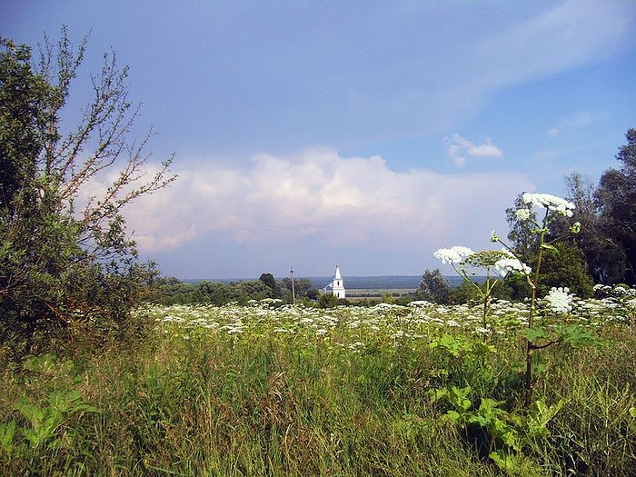 Свято-Никольский храм села Березичи