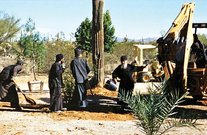 Planting trees, Elder Ephraim working along with the brethren