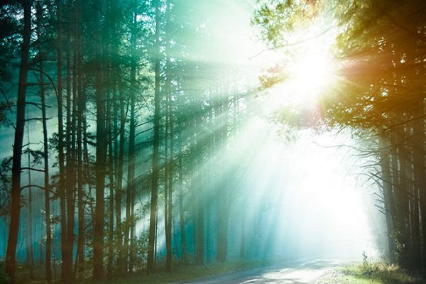 Photo: http://pemptousia.com/