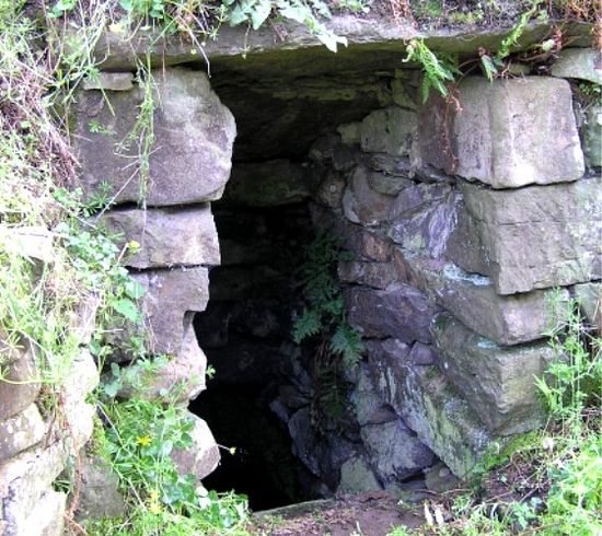 St. Cadfan's holy well in Llangadfan (taken from Megalithic.co.uk)