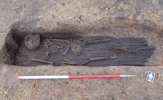 A plank-lined grave with human remains at Great Ryburgh (MOLA)