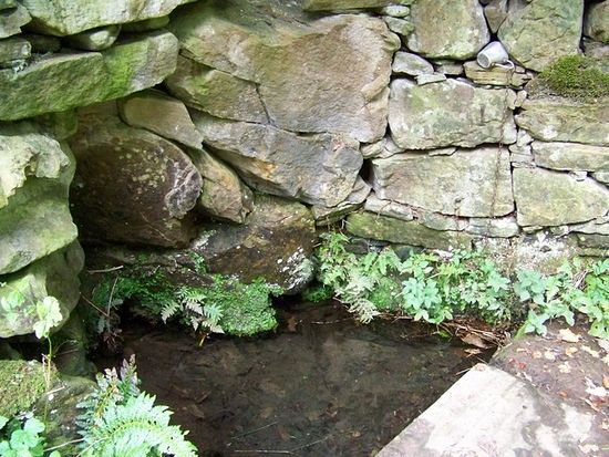 St. Fergus' well in Glamis