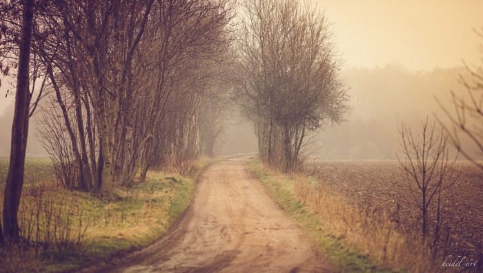 Фото: PhotosThroughMyEyes