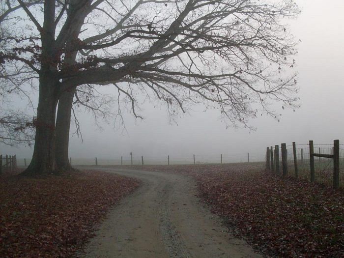 Фото Universal Pops (David)