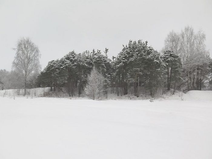 Вид на городище. Фотография Натальи Щепотиной
