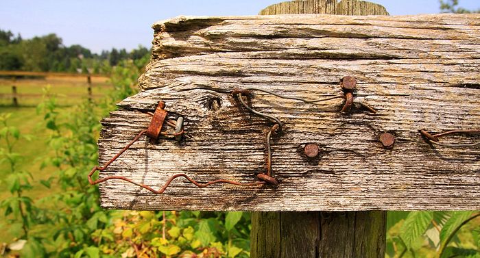 Фото: waferboard