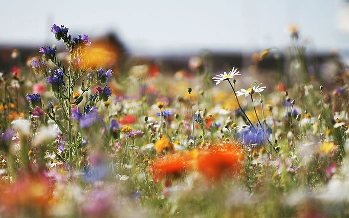 Photo: www.daviddomoney.com