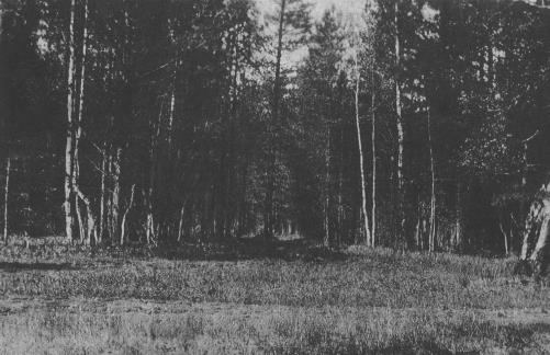 Поросенков Лог. Фотография Н. Соколова 1919 г.