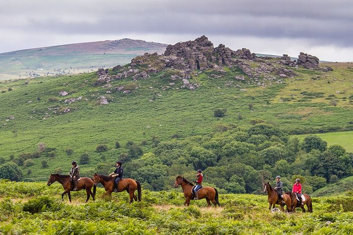 Devon. Photo: cntraveller.com