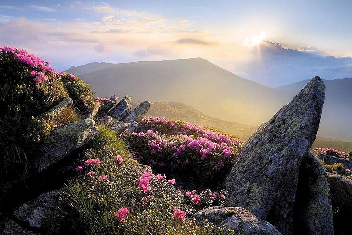 Aleksandr Kotenko. Sunrise over Mount Smotrich in the Carpathians. 2015. Photo: 01varvara.wordpress.com