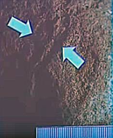 Рис.2. Фотография обнаруженных следов, сделанная с экрана монитора.