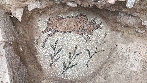 Photo: www.dailysabah.com