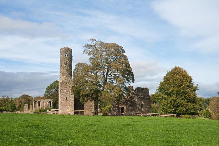 Руины августинского монастыря в Фернсе, Уэксфорд (источник - Wikiwand.com)