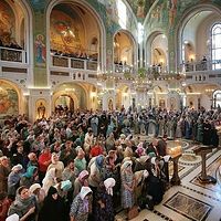 ������������ ������������ ����� ������ ������