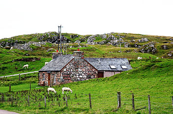 ������ �����. ���� ������� ������.