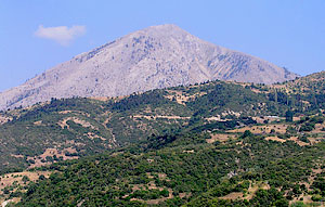 ���� ���� (��������)