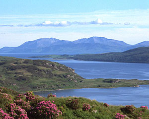 ����������� �������. ���� ������� ��������.