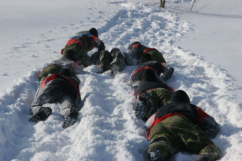 ��������� ���������. ����: ���� �������� / ������ ������������ ����� ������