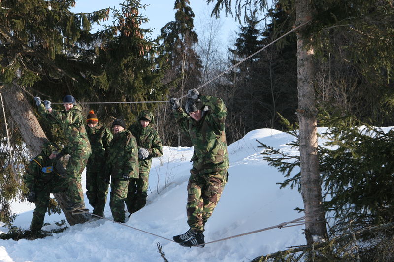 ����, ��-����������!.. (���� �������� �����). ����: ���� �������� / ������ ������������ ����� ������