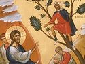 How Zacchaeus Reclaimed Paradise