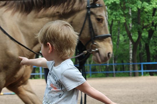 Нет, наверное, ребенка, который, завидев лошадь, не захотел бы прокатиться. Фото: А.Рахлина