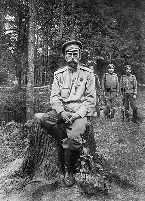 Почему Николай II отрекся от престола — основные причины и обстоятельства