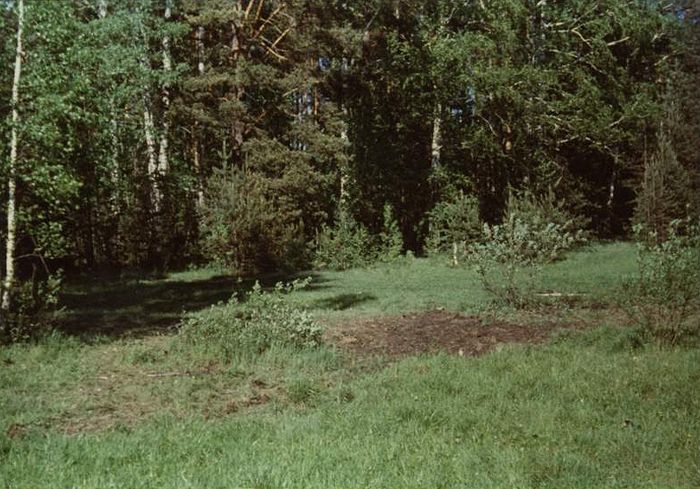 Снимки, сделанные Гелием Рябовым после первого вскрытия захоронения в Поросенковом логу. Как видно на фото, никакого болота, а тем более торфяника на этом месте не было