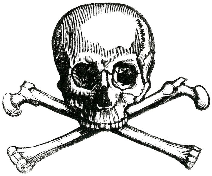 Ранняя эмблема тайного общества «Череп и кости»